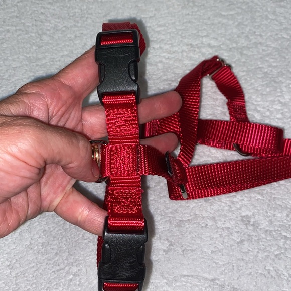 PetSafe Sure-Fit Adjustable Back Clip Dog Harness - Picture 5 of 9